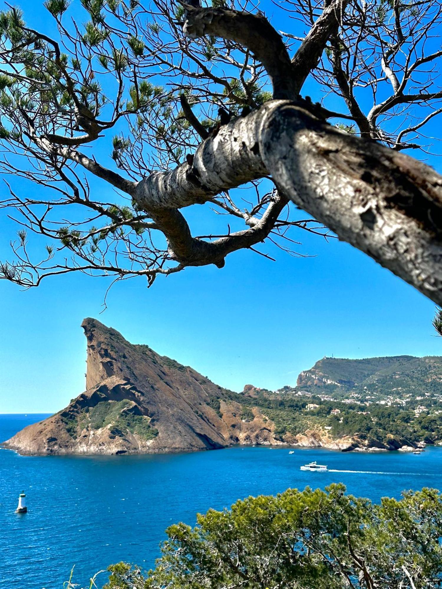 L'Alceste La Ciotat Exterior foto